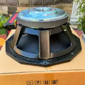 BM PD18 Naked Bass Speaker